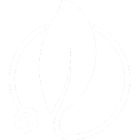 Início